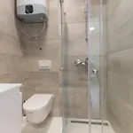 Apartment Branka