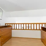 Branka Apartment